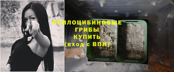 бошки Алзамай